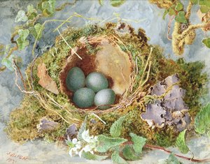 Un Nido de Huevos, 1871